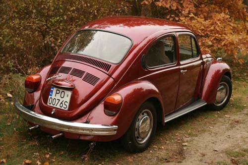 gryf1
