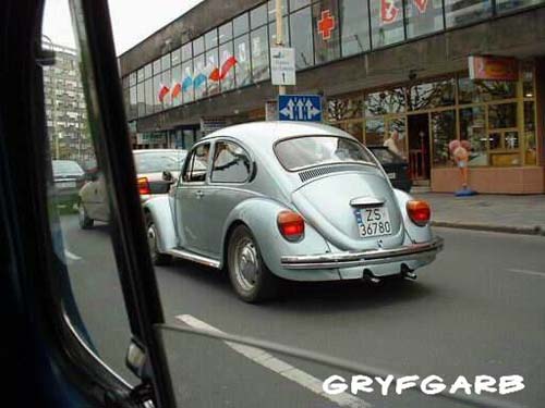 dnigryf01