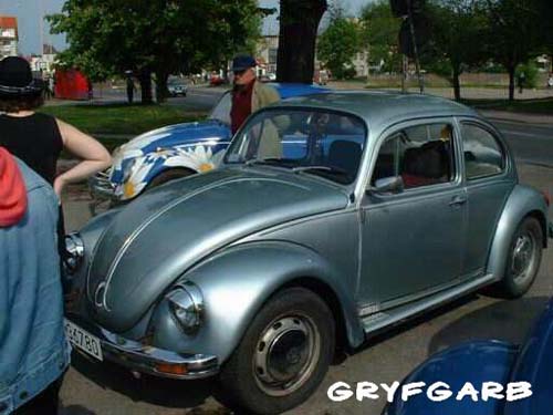 dnigryf08