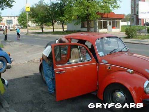 dnigryf10