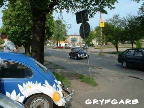 dnigryf12