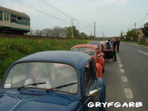 dnigryf16