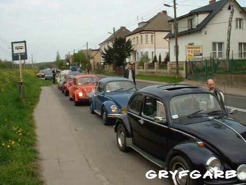 dnigryf18