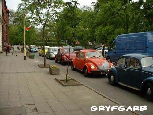dnigryf20