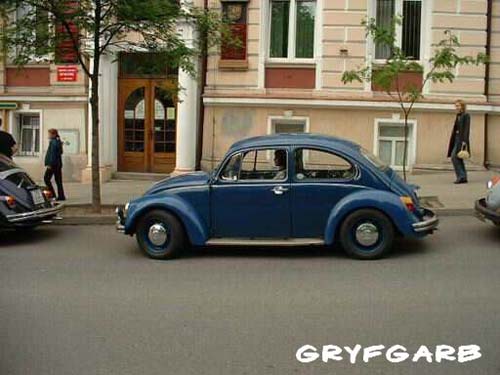 dnigryf22