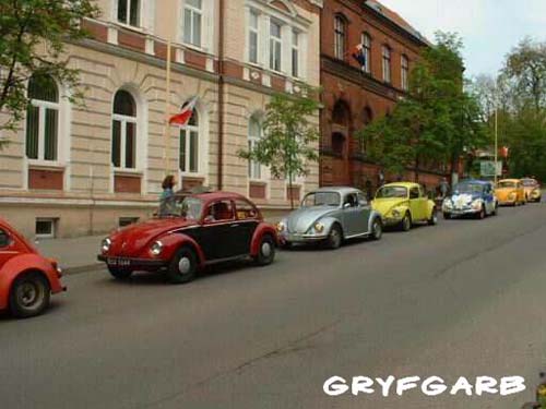 dnigryf23