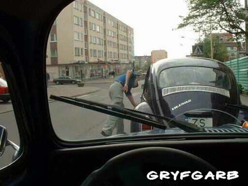 dnigryf27