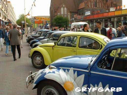 dnigryf37