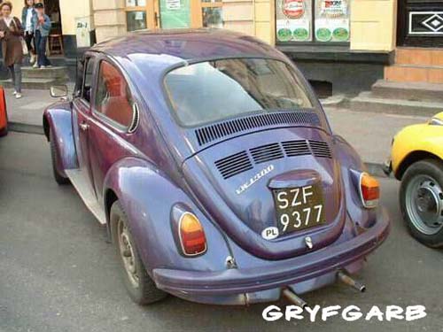 dnigryf39