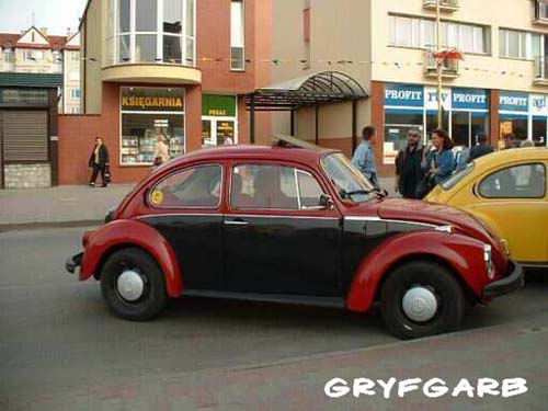 dnigryf42