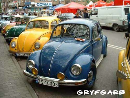 dnigryf49