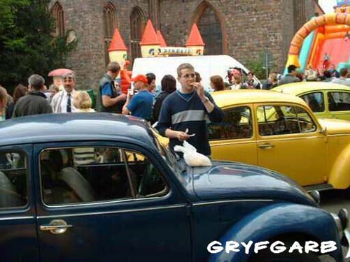dnigryf51