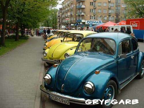 dnigryf63