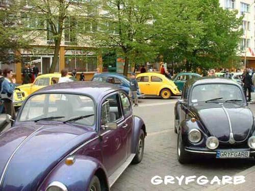 dnigryf64