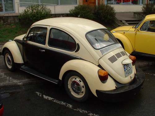 gryfino02