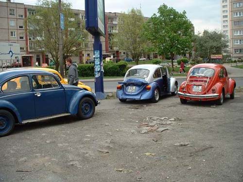gryfino08