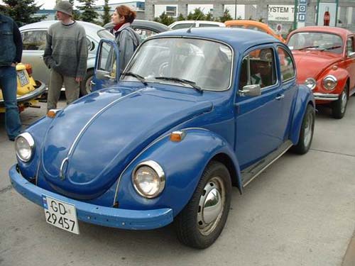 gryfino13