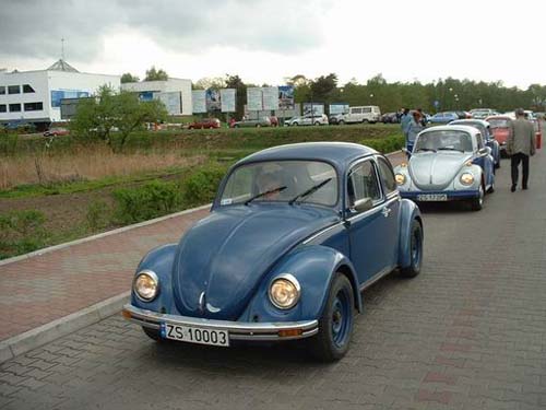 gryfino28
