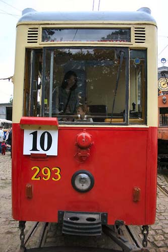 znm12