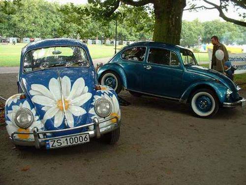 platany10