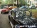 platany01