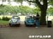 platany04