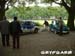 platany06