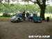 platany07