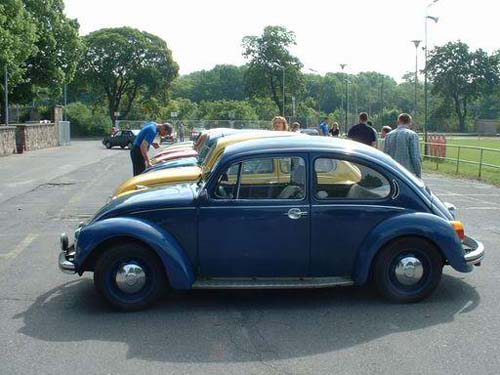 pogon09
