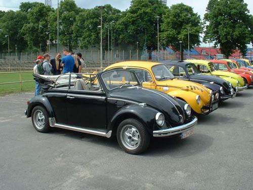 pogon24