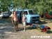 Chojna2003_079